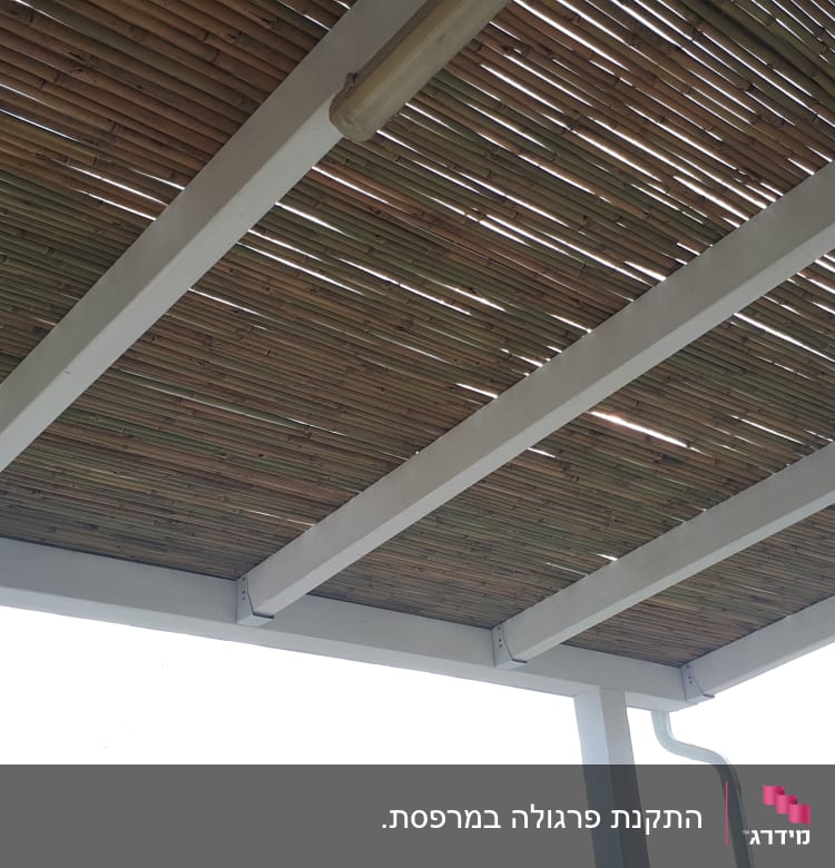 גג במבוק על קורות עץ לבנות בגינה